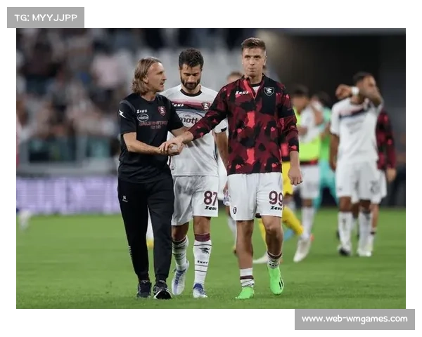 意甲残疾球迷无障碍观赛计划启动，获俱乐部支持